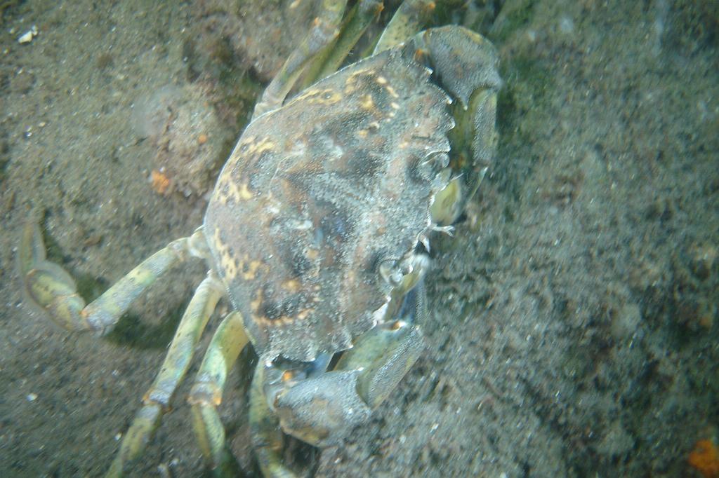 2008-08-31 11-01-11.JPG